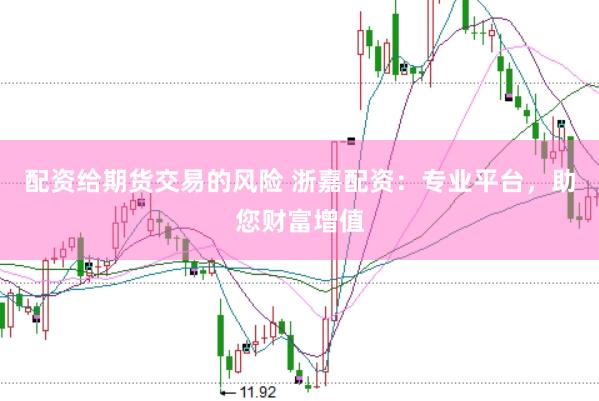 配资给期货交易的风险 浙嘉配资：专业平台，助您财富增值
