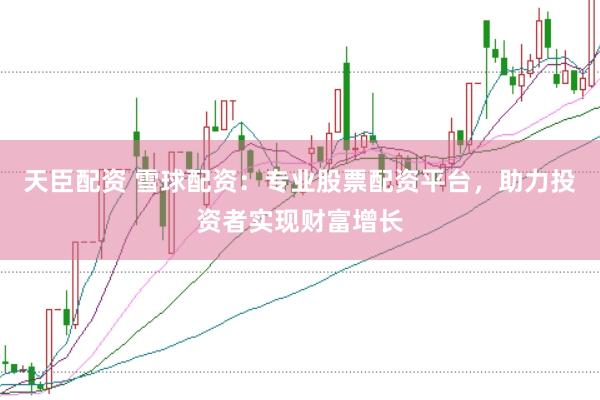 天臣配资 雪球配资：专业股票配资平台，助力投资者实现财富增长
