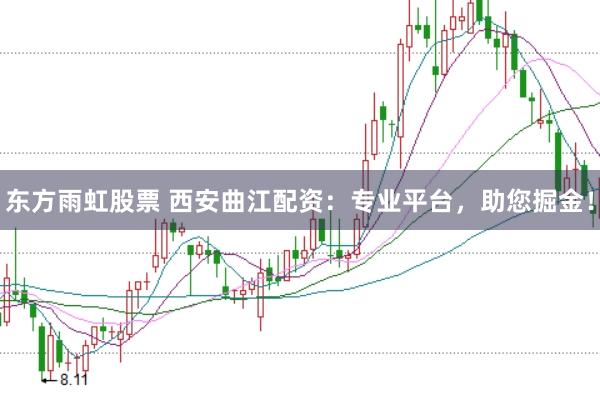 东方雨虹股票 西安曲江配资：专业平台，助您掘金！