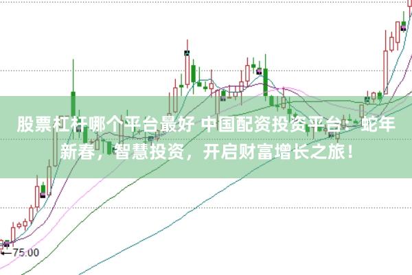 股票杠杆哪个平台最好 中国配资投资平台：蛇年新春，智慧投资，开启财富增长之旅！