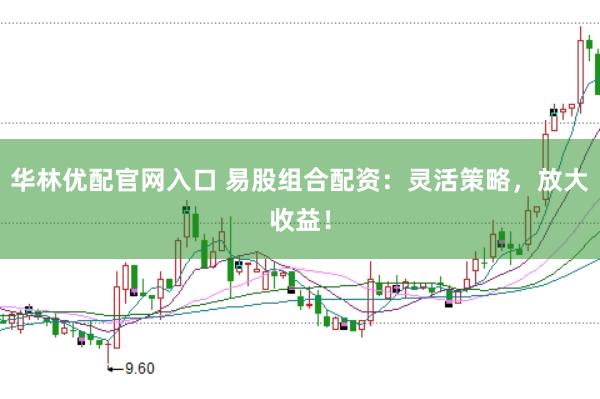华林优配官网入口 易股组合配资：灵活策略，放大收益！