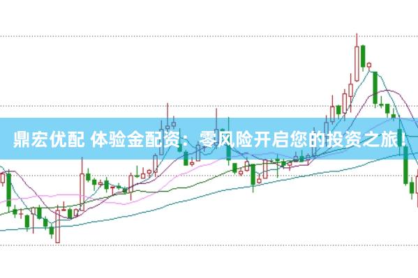 鼎宏优配 体验金配资：零风险开启您的投资之旅！