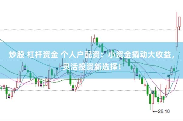 炒股 杠杆资金 个人户配资：小资金撬动大收益，灵活投资新选择！