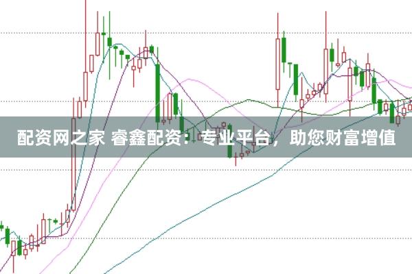 配资网之家 睿鑫配资：专业平台，助您财富增值
