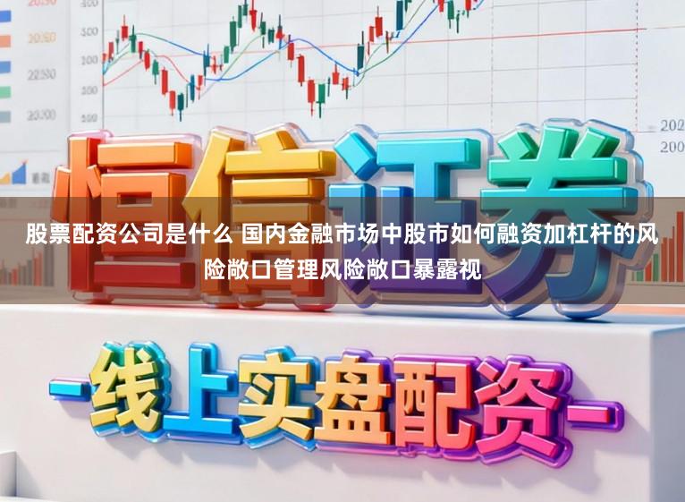 股票配资公司是什么 国内金融市场中股市如何融资加杠杆的风险敞口管理风险敞口暴露视
