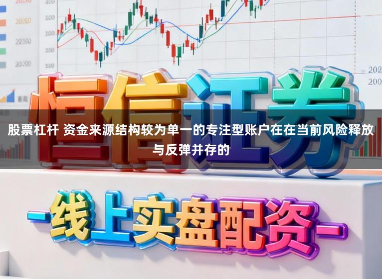 股票杠杆 资金来源结构较为单一的专注型账户在在当前风险释放与反弹并存的