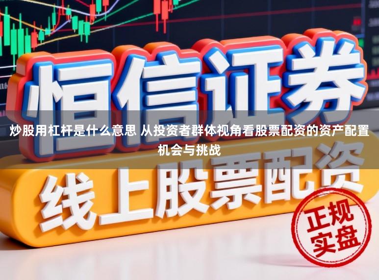 炒股用杠杆是什么意思 从投资者群体视角看股票配资的资产配置机会与挑战